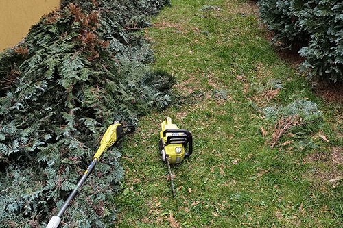 Formowanie żywopłotów Jaworzno Sosnowiec Dąbrowa Górnicza