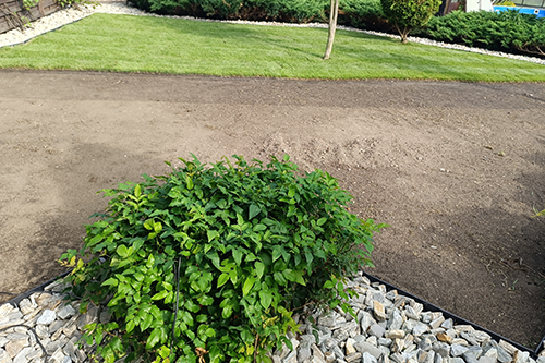 Renowacja trawnika Jaworzno - zakładanie trawnika z rolki