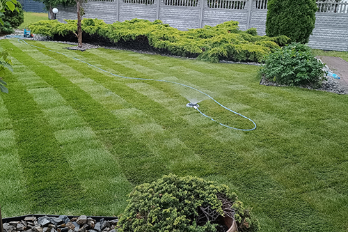 Trawnik z rolki założony w Jaworznie