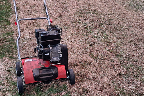 Wertykulacja trawników Jaworzno Sosnowiec Dąbrowa Górnicza