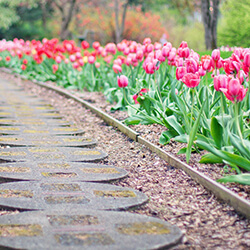 aranżacja rabat ogrodowych