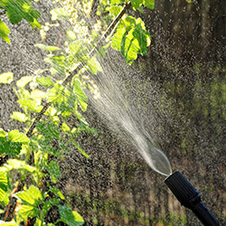 opryski i nawożenie roślin