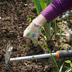 pielęgnacja ogrodów