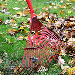 prace porządkowe i renowacyjne w ogrodach